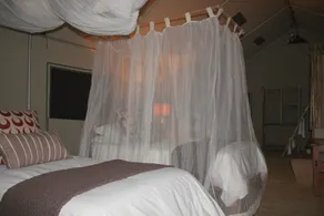 Miombo Safari Camp - Værelse