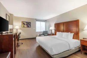 Comfort Inn Conference Center - Chambre
