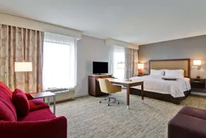 Hampton Inn & Suites Detroit/Troy - Chambre