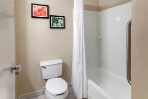 Comfort Inn & Suites Canton Riverstone Area - Salle de bain
