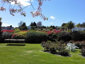 Phoenix Thermal Resort - Taupo - View from room
