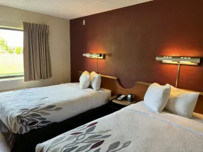 Sycamore Suites - Room