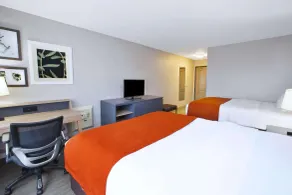 Country Inn & Suites by Radisson, Big Rapids, MI - Chambre