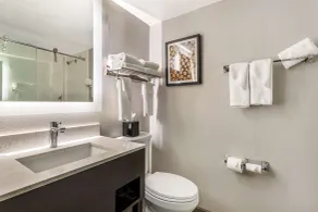 Best Western Atlanta-Marietta Ballpark Hotel - Salle de bain
