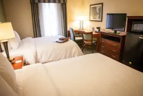 Hampton Inn & Suites Springfield-Southwest - Chambre