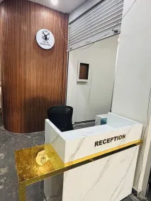 Hotel Sayari Inn - Réception