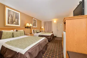 Americas Best Value Inn Near Downtown Nashville - Chambre