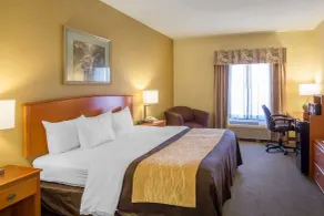 Quality Inn & Suites MidAmerica Industrial Park Area - Room