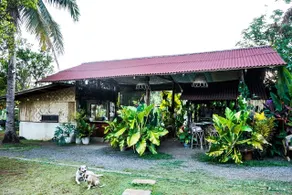 Banlaw Garden Resort - Réception