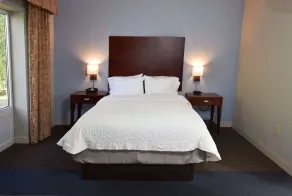 Hampton Inn Alexander City - Rom
