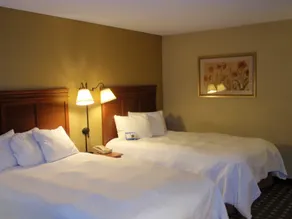 Baymont by Wyndham Lewisville - Chambre