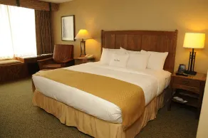 DoubleTree by Hilton Libertyville - Mundelein - Habitación