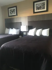 Quality Suites - Chambre