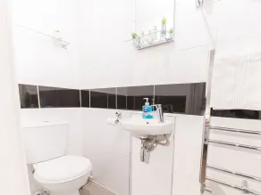 Lakeland View - Bathroom