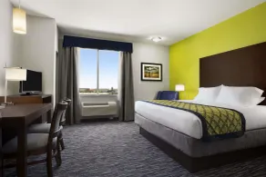 Hawthorn Suites by Wyndham San Angelo - Chambre