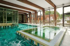 Wasa Resort Hotel, Apartments & SPA - Pool