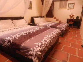 Pearl B&B - Room
