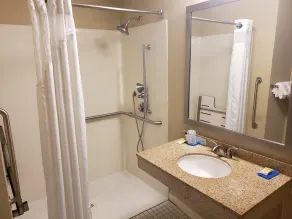 Holiday Inn Express Hotel Pittsburgh-North/Harmarville by IHG - Salle de bain