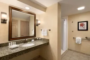 Homewood Suites by Hilton Syracuse/Liverpool - Salle de bain