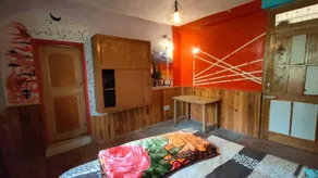 Creepers Nest - Camera