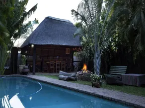A Traveller's Palm - Pool