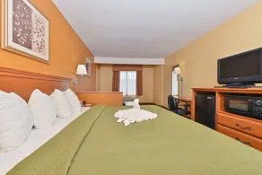 Quality Inn & Suites Cartersville North - Chambre
