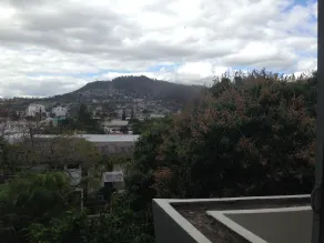 G y V Hotels - View from room
