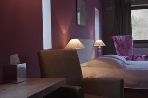 Hostellerie La Claire Fontaine, Logis hôtels & Spa included - Værelse