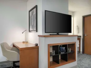 Hyatt Place Tampa Busch Gardens - Chambre