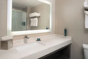 DoubleTree by Hilton Providence Airport Warwick - Salle de bain