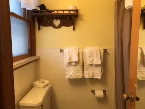 Ludington Blue Spruce Inn - Salle de bain