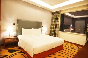 DoubleTree by Hilton Hotel Gurgaon - New Delhi NCR - View from room