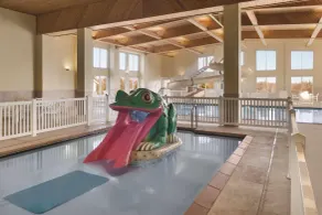 Country Inn & Suites by Radisson, Galena, IL - Piscine