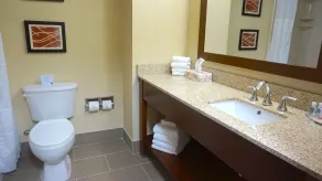 Comfort Inn & Suites Greenwood near University - Salle de bain