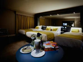 Claregalway Hotel - Room
