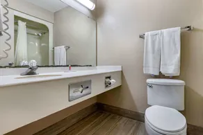 Econo Lodge Florence - Darlington - Salle de bain