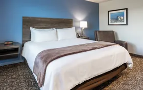 My Place Hotel-Jacksonville-Camp Lejeune, NC - Værelse
