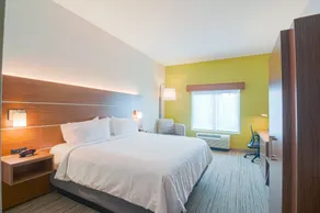 Holiday Inn Express Hotel & Suites Tampa-USF-Busch Gardens by IHG - Room
