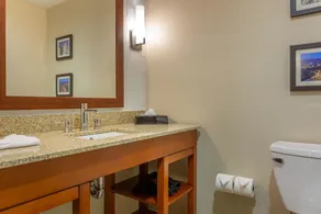 Comfort Inn & Suites Boise Airport - Bathroom