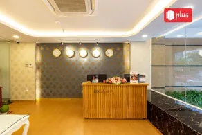 Spring Airport Hotel - Reception