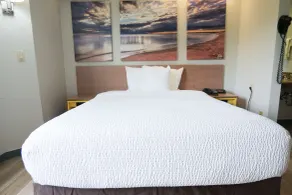 Days Inn by Wyndham Flint/Bishop International Airport - Chambre