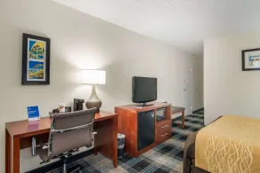 Comfort Inn & Suites Pittsburgh Fox Chapel - Chambre