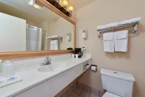 Americas Best Value Inn San Jose Convention Center - Salle de bain