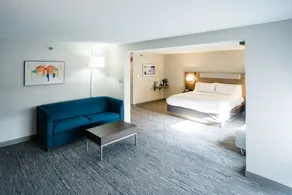 Holiday Inn Express Hotel & Suites Knoxville-North-I-75 Exit 112 by IHG - Zimmer