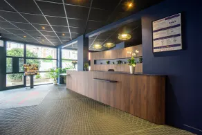 Victoria Garden Appart'Hotel Strasbourg - Réception