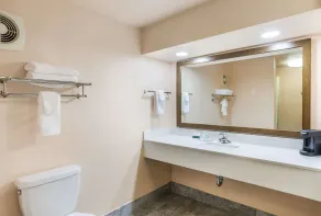 Quality Inn Pulaski - Badrum