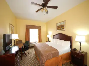 Best Western Plus Manvel Inn & Suites - Room