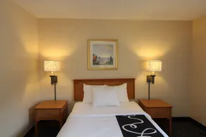 La Quinta by Wyndham Tampa Fairgrounds - Casino - Room