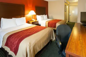 Comfort Inn & Suites Statesville - Mooresville - Chambre