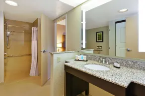 Hotel Auburn Hills - Baño